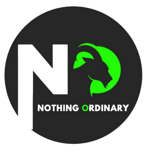 Nothing ordinary designs